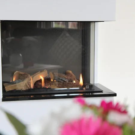 Schilfrohrsaenger, *