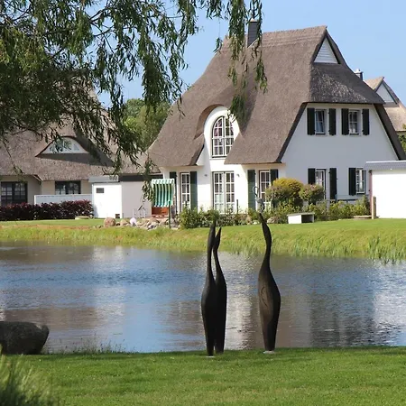 Schilfrohrsaenger, Dom wakacyjny Fuhlendorf (Mecklenburg-Vorpommern)
